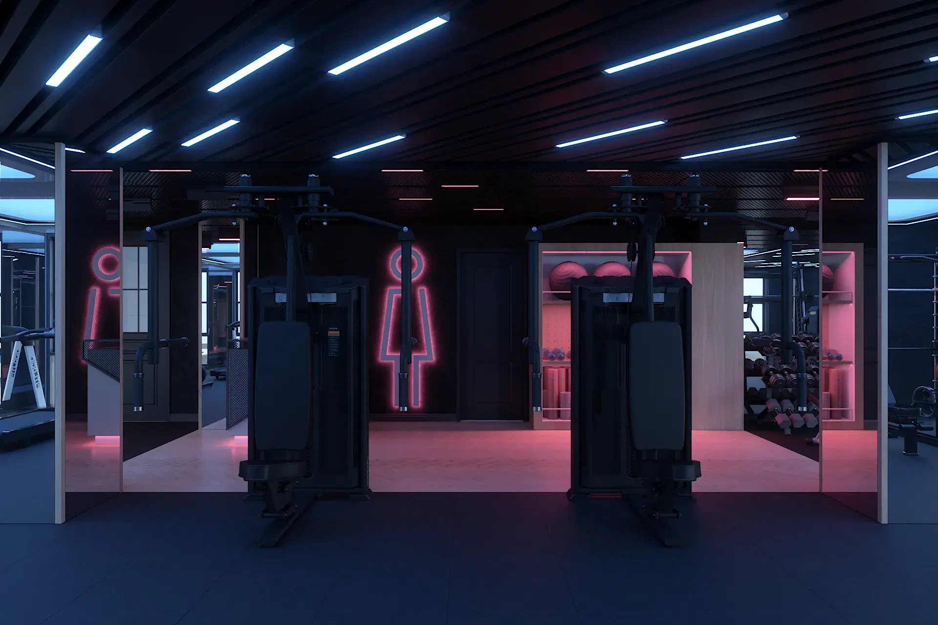 Gym gallery 3